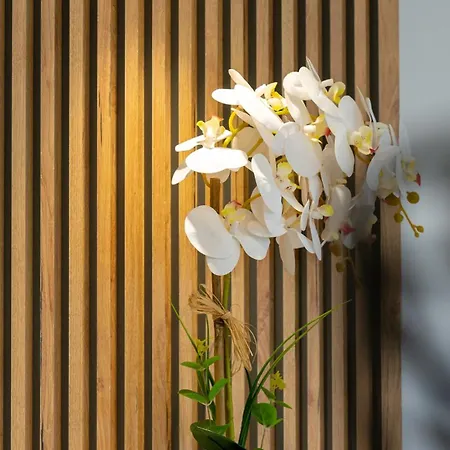 Merkezde Jakuzili Lueks - Ocekhomes Meva *