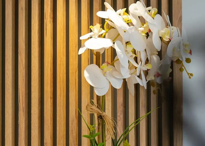 Merkezde Jakuzili Lueks - Ocekhomes Meva *